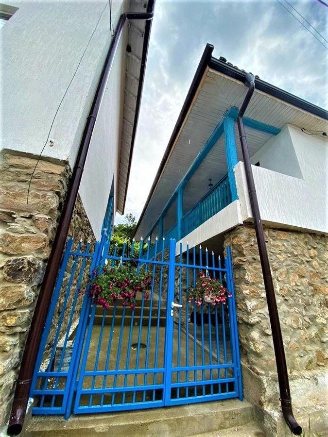 Hôtel Цяла Ваканционна Къща- Florina Houses à Goranovtsi Extérieur photo