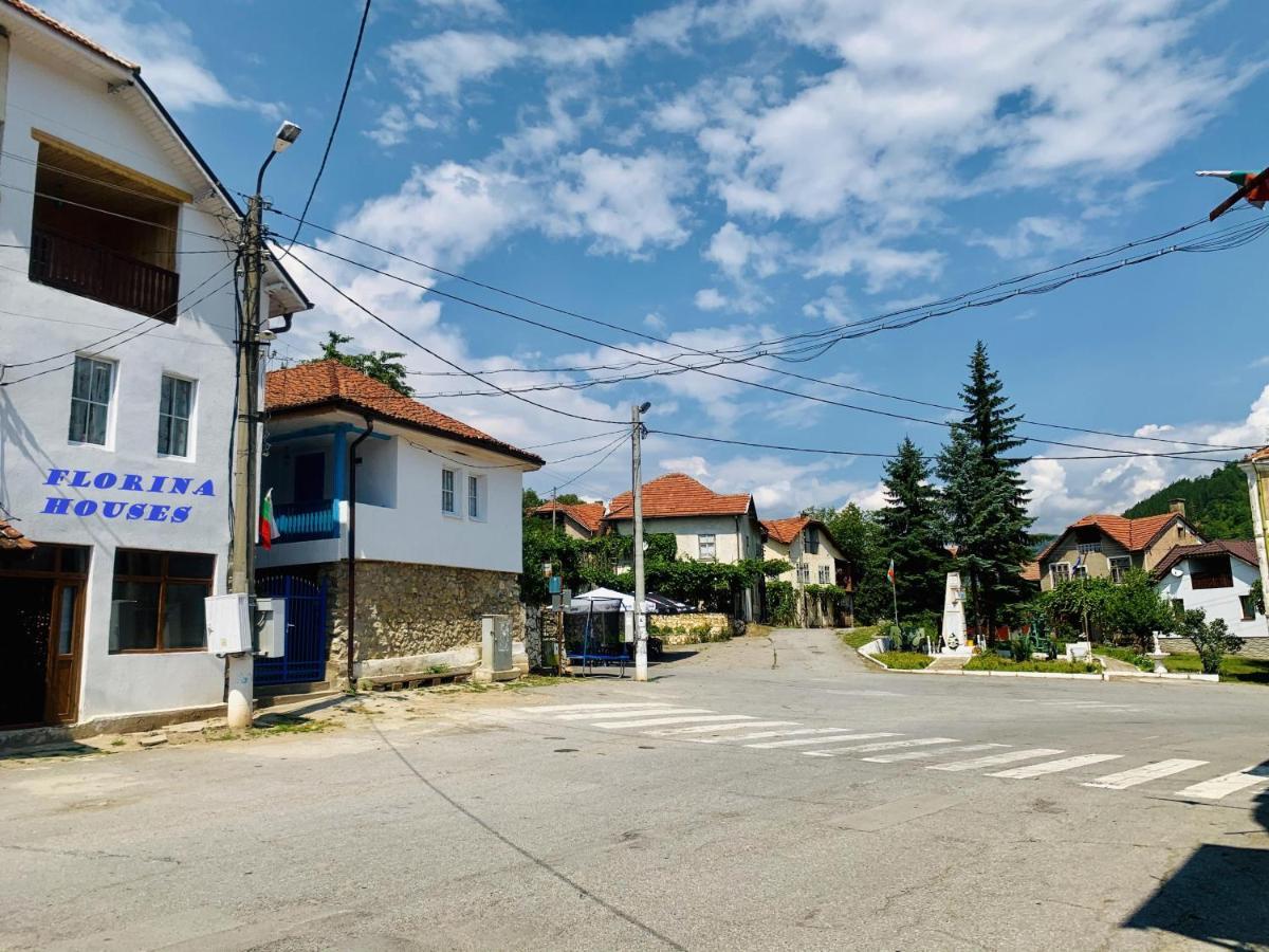 Hôtel Цяла Ваканционна Къща- Florina Houses à Goranovtsi Extérieur photo